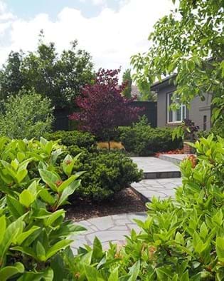 Crazy bluestone paving