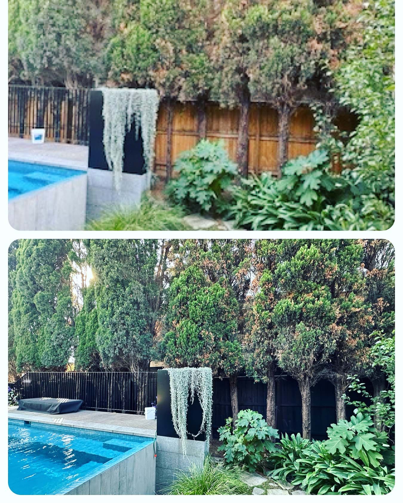 Fence Spray Painting